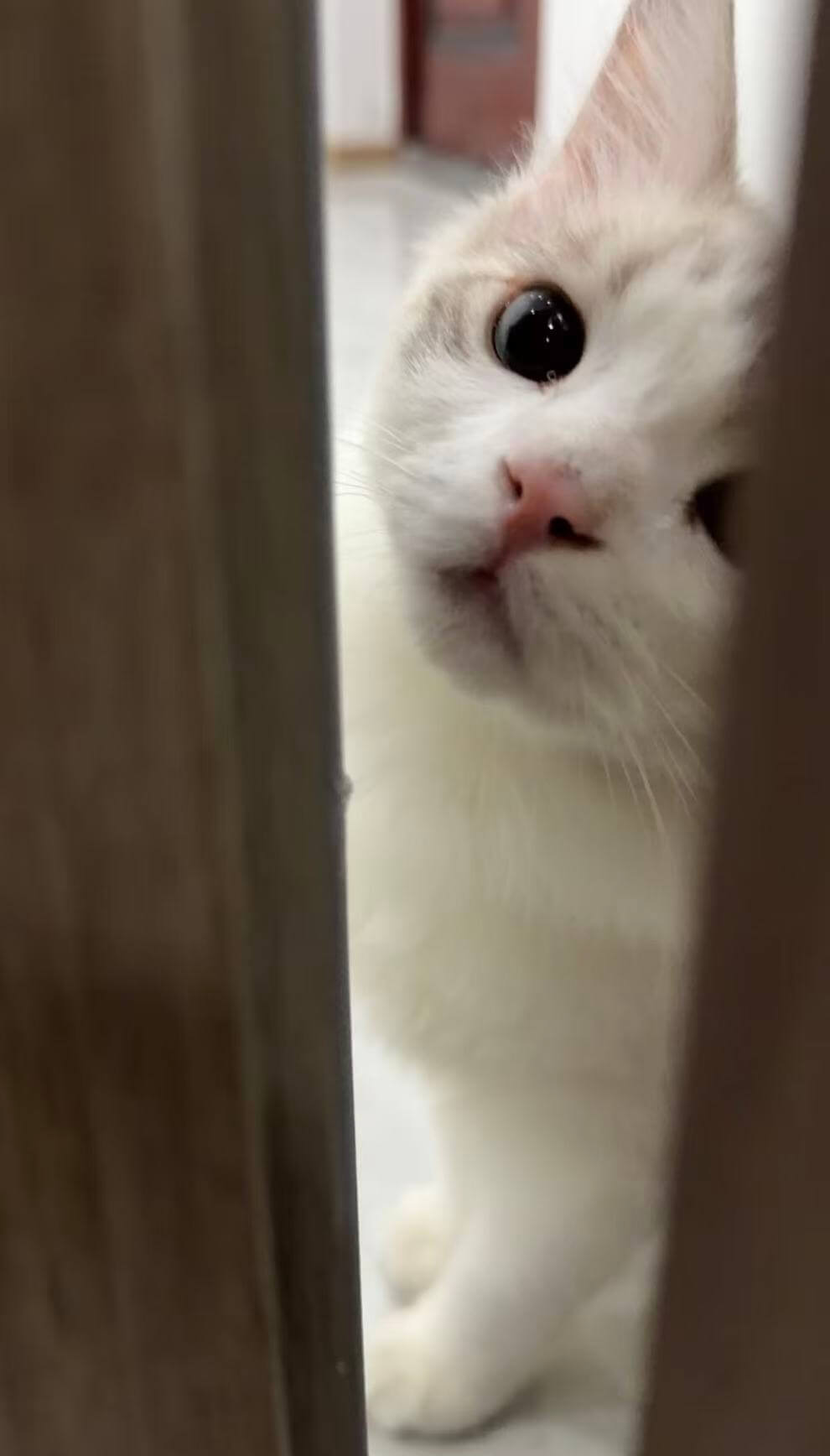 生活碎片